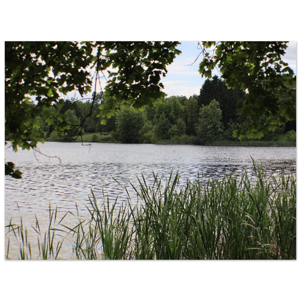 ef4a0460-4684-4954-97d6-01d4919cf390